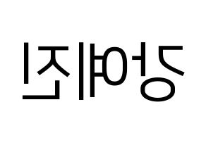 KPOP NATURE(네이처、ネイチャー) 로하 (ロハ) プリント用応援ボード型紙、うちわ型紙　韓国語/ハングル文字型紙 左右反転
