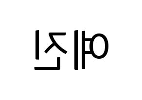 KPOP NATURE(네이처、ネイチャー) 로하 (ロハ) コンサート用　応援ボード・うちわ　韓国語/ハングル文字型紙 左右反転