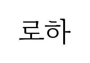 KPOP NATURE(네이처、ネイチャー) 로하 (ロハ) 応援ボード・うちわ　韓国語/ハングル文字型紙 通常