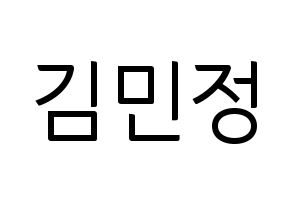 KPOP NATURE(네이처、ネイチャー) 선샤인 (サンシャイン) コンサート用　応援ボード・うちわ　韓国語/ハングル文字型紙 通常