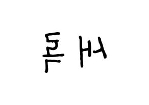 KPOP NATURE(네이처、ネイチャー) 새봄 (セボム) k-pop アイドル名前 ファンサボード 型紙 左右反転