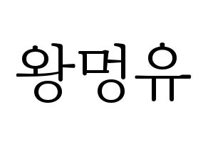 KPOP NATURE(네이처、ネイチャー) 오로라 (オーロラ) 応援ボード・うちわ　韓国語/ハングル文字型紙 通常