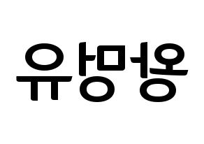 KPOP NATURE(네이처、ネイチャー) 오로라 (オーロラ) k-pop アイドル名前 ファンサボード 型紙 左右反転