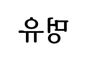 KPOP NATURE(네이처、ネイチャー) 오로라 (オーロラ) プリント用応援ボード型紙、うちわ型紙　韓国語/ハングル文字型紙 左右反転