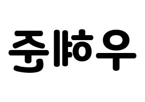 KPOP NATURE(네이처、ネイチャー) 유채 (ユチェ) 応援ボード・うちわ　韓国語/ハングル文字型紙 左右反転