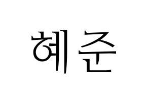 KPOP NATURE(네이처、ネイチャー) 유채 (ユチェ) 応援ボード・うちわ　韓国語/ハングル文字型紙 通常