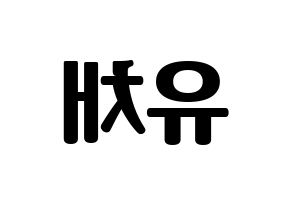 KPOP NATURE(네이처、ネイチャー) 유채 (ユチェ) コンサート用　応援ボード・うちわ　韓国語/ハングル文字型紙 左右反転