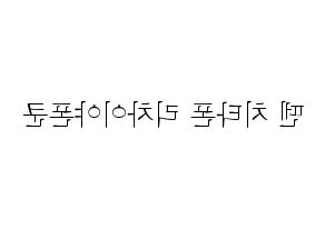 KPOP NCT(엔씨티、エヌシーティー) 텐 (テン) 応援ボード・うちわ　韓国語/ハングル文字型紙 左右反転
