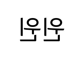 KPOP NCT(엔씨티、エヌシーティー) 윈윈 (ウィンウィン) コンサート用　応援ボード・うちわ　韓国語/ハングル文字型紙 左右反転