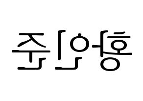 KPOP NCT(엔씨티、エヌシーティー) 런쥔 (ロンジュン) 応援ボード・うちわ　韓国語/ハングル文字型紙 左右反転