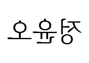 KPOP NCT(엔씨티、エヌシーティー) 재현 (ジェヒョン) 応援ボード・うちわ　韓国語/ハングル文字型紙 左右反転