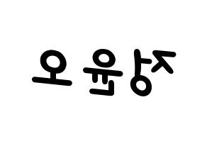 KPOP NCT(엔씨티、エヌシーティー) 재현 (ジェヒョン) 名前 応援ボード 作り方 左右反転