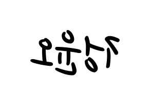 KPOP NCT(엔씨티、エヌシーティー) 재현 (ジェヒョン) 応援ボード ハングル 型紙  左右反転