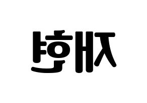 KPOP NCT(엔씨티、エヌシーティー) 재현 (ジェヒョン) コンサート用　応援ボード・うちわ　韓国語/ハングル文字型紙 左右反転