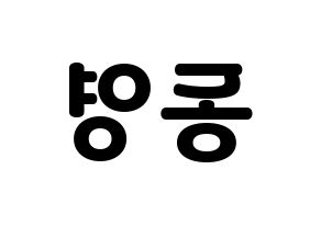 KPOP NCT(엔씨티、エヌシーティー) 도영 (ドヨン) 応援ボード・うちわ　韓国語/ハングル文字型紙 左右反転