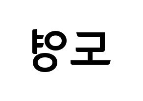 KPOP NCT(엔씨티、エヌシーティー) 도영 (ドヨン) k-pop アイドル名前 ファンサボード 型紙 左右反転