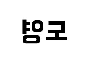 KPOP NCT(엔씨티、エヌシーティー) 도영 (ドヨン) k-pop アイドル名前 ファンサボード 型紙 左右反転