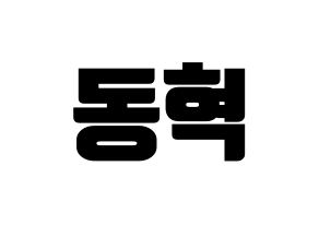 KPOP NCT(엔씨티、エヌシーティー) 해찬 (ヘチャン) コンサート用　応援ボード・うちわ　韓国語/ハングル文字型紙 通常