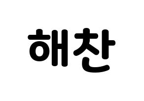 KPOP NCT(엔씨티、エヌシーティー) 해찬 (ヘチャン) 応援ボード・うちわ　韓国語/ハングル文字型紙 通常