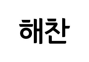 KPOP NCT(엔씨티、エヌシーティー) 해찬 (ヘチャン) k-pop アイドル名前 ファンサボード 型紙 通常