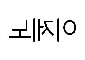 KPOP NCT(엔씨티、エヌシーティー) 제노 (ジェノ) コンサート用　応援ボード・うちわ　韓国語/ハングル文字型紙 左右反転