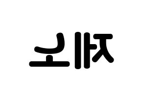 KPOP NCT(엔씨티、エヌシーティー) 제노 (ジェノ) 応援ボード・うちわ　韓国語/ハングル文字型紙 左右反転