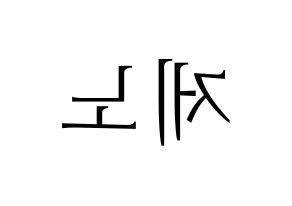 KPOP NCT(엔씨티、エヌシーティー) 제노 (ジェノ) 応援ボード・うちわ　韓国語/ハングル文字型紙 左右反転
