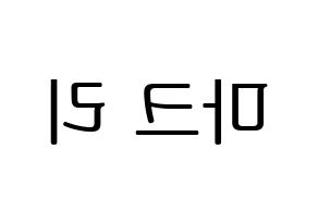 KPOP NCT(엔씨티、エヌシーティー) 마크 (マーク) プリント用応援ボード型紙、うちわ型紙　韓国語/ハングル文字型紙 左右反転