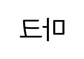 KPOP NCT(엔씨티、エヌシーティー) 마크 (マーク) コンサート用　応援ボード・うちわ　韓国語/ハングル文字型紙 左右反転