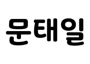 KPOP NCT(엔씨티、エヌシーティー) 태일 (テイル) 応援ボード・うちわ　韓国語/ハングル文字型紙 通常