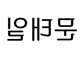 KPOP NCT(엔씨티、エヌシーティー) 태일 (テイル) プリント用応援ボード型紙、うちわ型紙　韓国語/ハングル文字型紙 左右反転