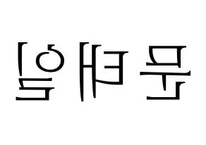 KPOP NCT(엔씨티、エヌシーティー) 태일 (テイル) 応援ボード・うちわ　韓国語/ハングル文字型紙 左右反転