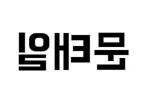 KPOP NCT(엔씨티、エヌシーティー) 태일 (テイル) k-pop アイドル名前 ファンサボード 型紙 左右反転