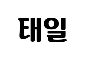 KPOP NCT(엔씨티、エヌシーティー) 태일 (テイル) コンサート用　応援ボード・うちわ　韓国語/ハングル文字型紙 通常