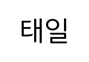 KPOP NCT(엔씨티、エヌシーティー) 태일 (テイル) コンサート用　応援ボード・うちわ　韓国語/ハングル文字型紙 通常