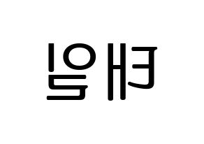 KPOP NCT(엔씨티、エヌシーティー) 태일 (テイル) プリント用応援ボード型紙、うちわ型紙　韓国語/ハングル文字型紙 左右反転