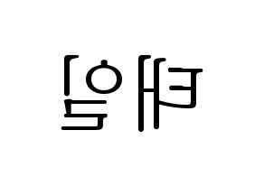 KPOP NCT(엔씨티、エヌシーティー) 태일 (テイル) 応援ボード・うちわ　韓国語/ハングル文字型紙 左右反転