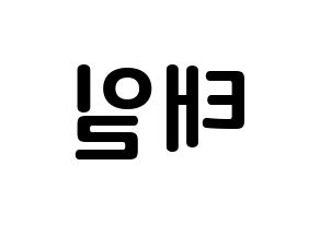 KPOP NCT(엔씨티、エヌシーティー) 태일 (ムン・テイル, テイル) k-pop アイドル名前　ボード 言葉 左右反転