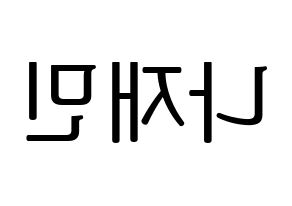 KPOP NCT(엔씨티、エヌシーティー) 재민 (ジェミン) プリント用応援ボード型紙、うちわ型紙　韓国語/ハングル文字型紙 左右反転