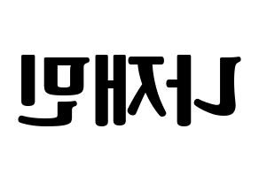 KPOP NCT(엔씨티、エヌシーティー) 재민 (ジェミン) コンサート用　応援ボード・うちわ　韓国語/ハングル文字型紙 左右反転