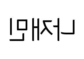 KPOP NCT(엔씨티、エヌシーティー) 재민 (ジェミン) コンサート用　応援ボード・うちわ　韓国語/ハングル文字型紙 左右反転