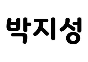 KPOP NCT(엔씨티、エヌシーティー) 지성 (チソン) 応援ボード・うちわ　韓国語/ハングル文字型紙 通常