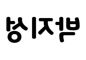 KPOP NCT(엔씨티、エヌシーティー) 지성 (チソン) 応援ボード・うちわ　韓国語/ハングル文字型紙 左右反転