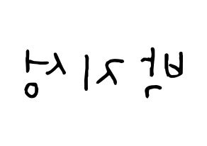 KPOP NCT(엔씨티、エヌシーティー) 지성 (チソン) k-pop 応援ボード メッセージ 型紙 左右反転
