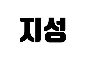 KPOP NCT(엔씨티、エヌシーティー) 지성 (チソン) コンサート用　応援ボード・うちわ　韓国語/ハングル文字型紙 通常