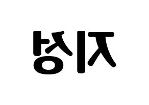 KPOP NCT(엔씨티、エヌシーティー) 지성 (チソン) コンサート用　応援ボード・うちわ　韓国語/ハングル文字型紙 左右反転