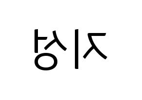 KPOP NCT(엔씨티、エヌシーティー) 지성 (チソン) コンサート用　応援ボード・うちわ　韓国語/ハングル文字型紙 左右反転