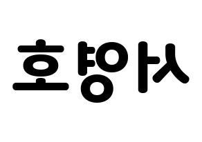 KPOP NCT(엔씨티、エヌシーティー) 쟈니 (ジャニー) 応援ボード・うちわ　韓国語/ハングル文字型紙 左右反転