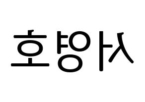 KPOP NCT(엔씨티、エヌシーティー) 쟈니 (ジャニー) プリント用応援ボード型紙、うちわ型紙　韓国語/ハングル文字型紙 左右反転
