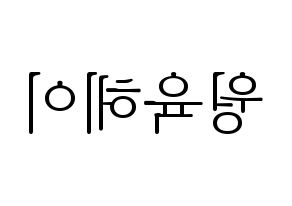 KPOP NCT(엔씨티、エヌシーティー) 루카스 (ルーカス) 応援ボード・うちわ　韓国語/ハングル文字型紙 左右反転